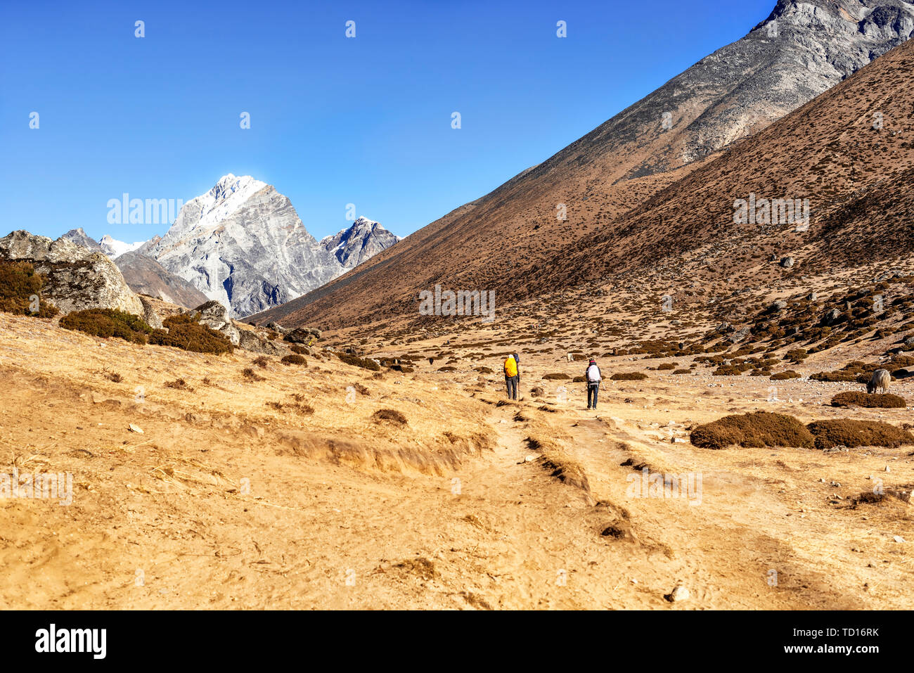 Vue sur la pittoresque vallée et montagnes de l'himalaya pics sur le camp de base de l'Everest trek entre Tengboche et Lobuche, au Népal. Banque D'Images