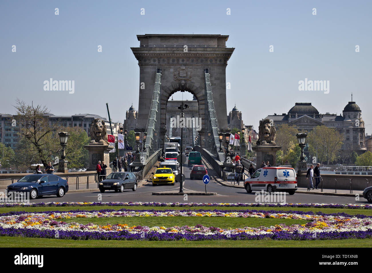 Avril 2019, Budapest : le trafic sur le pont reliant la chaîne de Buda et Pest. En fleurs fleurs de printemps en rond-point. Banque D'Images