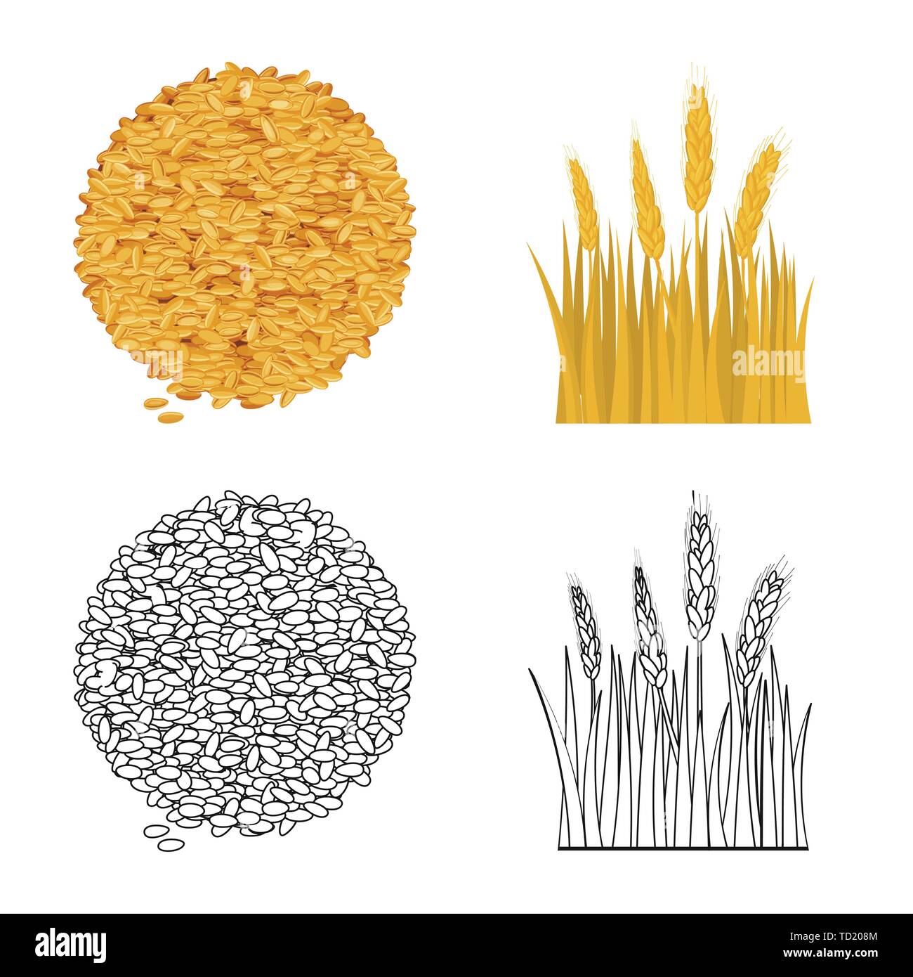 Graines,printemps,Culture,spike,orge, pain, céréales,terrain,blé,campagne,,or,automne,rural,mûrs,avoine seigle,agriculture,agriculture,plant de blé,maïs,grain,récolte,ferme,,champ,set,icône,,illustration,collection,isolé,design,graphisme,élément,signe, vecteurs vecteur , Illustration de Vecteur