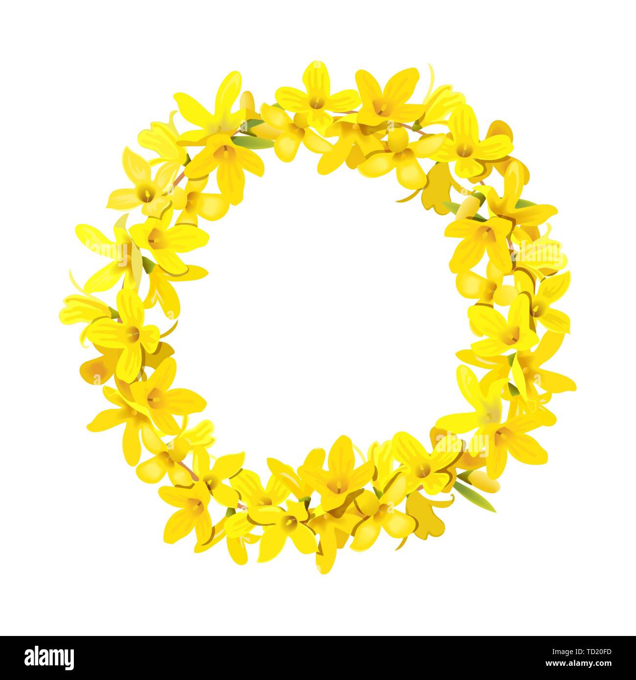 Couronne de Forsythia, Golden Bell décoration festive garland modèle. Arbre de Pâques avec la couronne, guirlande fleurs de printemps fleurs jaunes. Vector illustrati Illustration de Vecteur