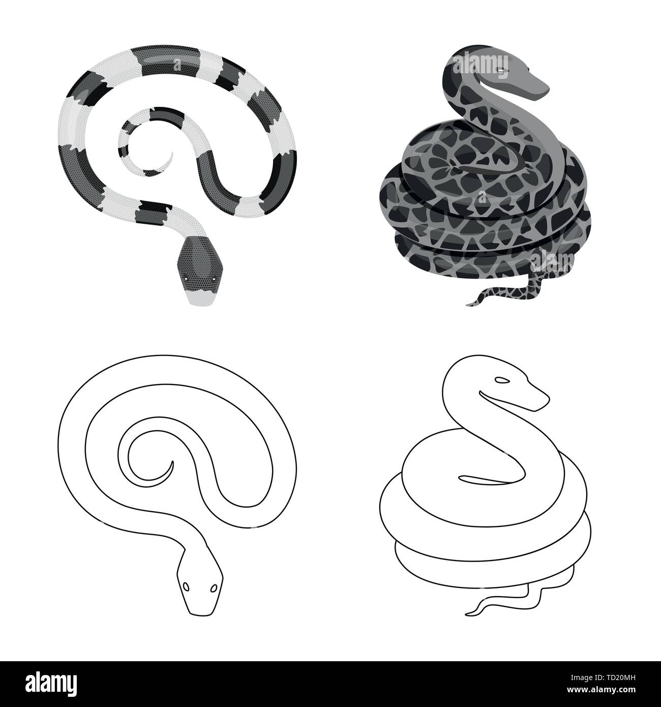 ,Serpent python,corail,rouge,animal,Black,blanc,vert,jungle,viper anaconda serpent,la queue,,royal,mammifère,nature,danger,médecine,poison,,le mal,mal,bouchée,peau,reptiles,set,icône,,illustration,collection,isolé,design,graphisme,élément,signe, vecteurs vecteur , Illustration de Vecteur