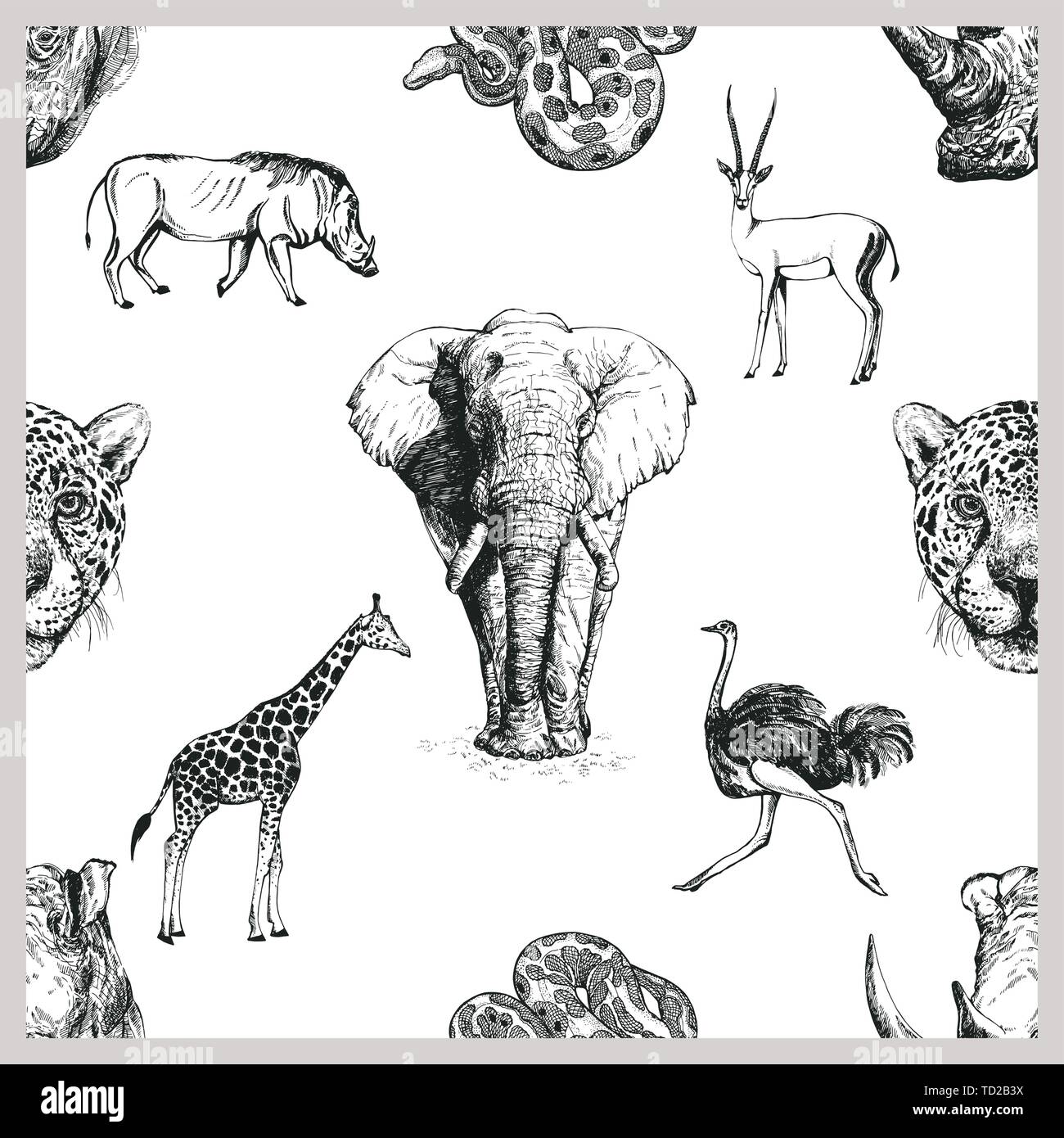 Motif de la main transparente style croquis animaux africains et asiatiques isolé sur fond blanc. Vector illustration. Illustration de Vecteur