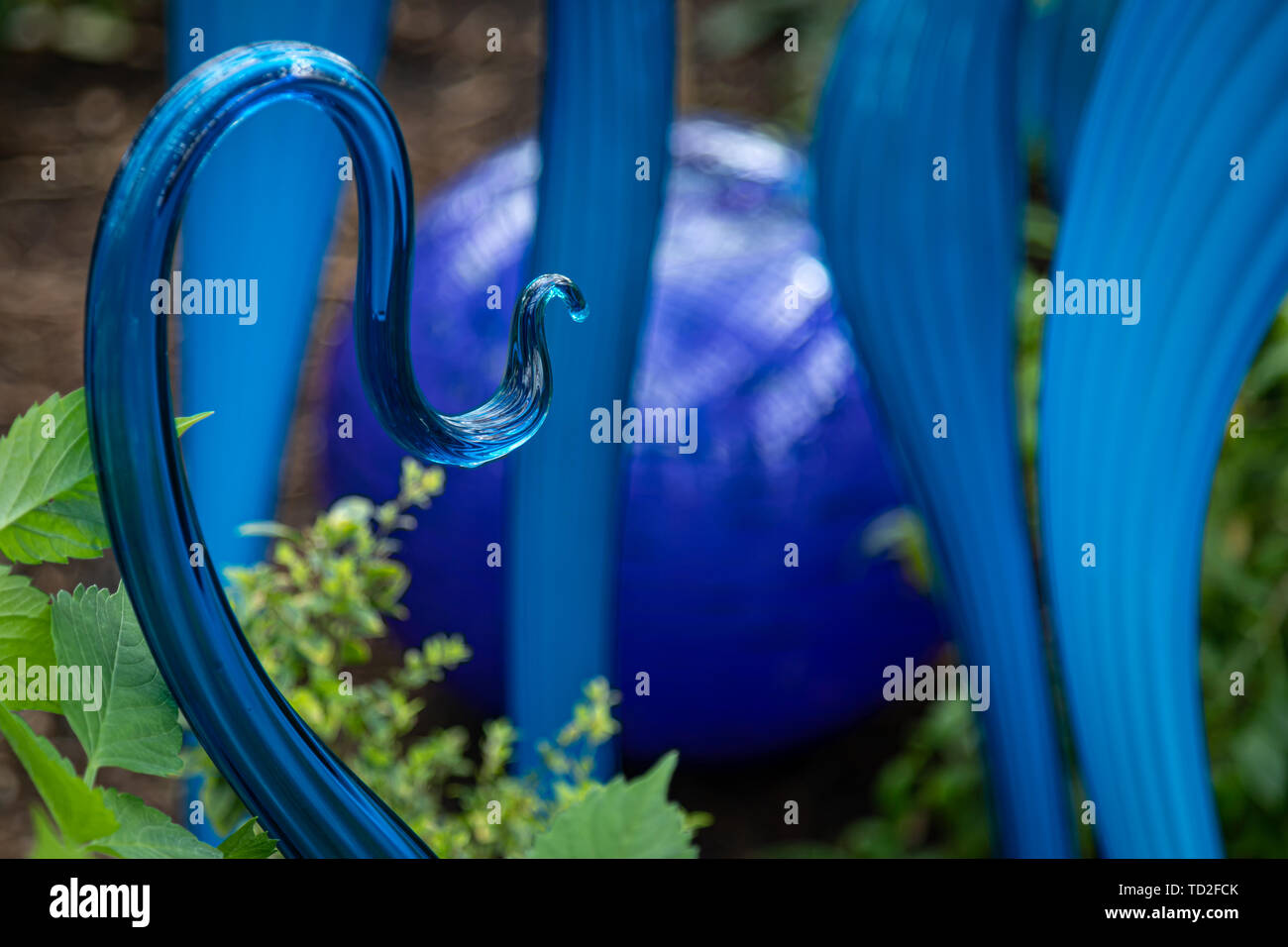 Marlins turquoise et flotte par Dale Chihuly, partie d'une exposition de sculptures de verre à Kew Gardens. Banque D'Images