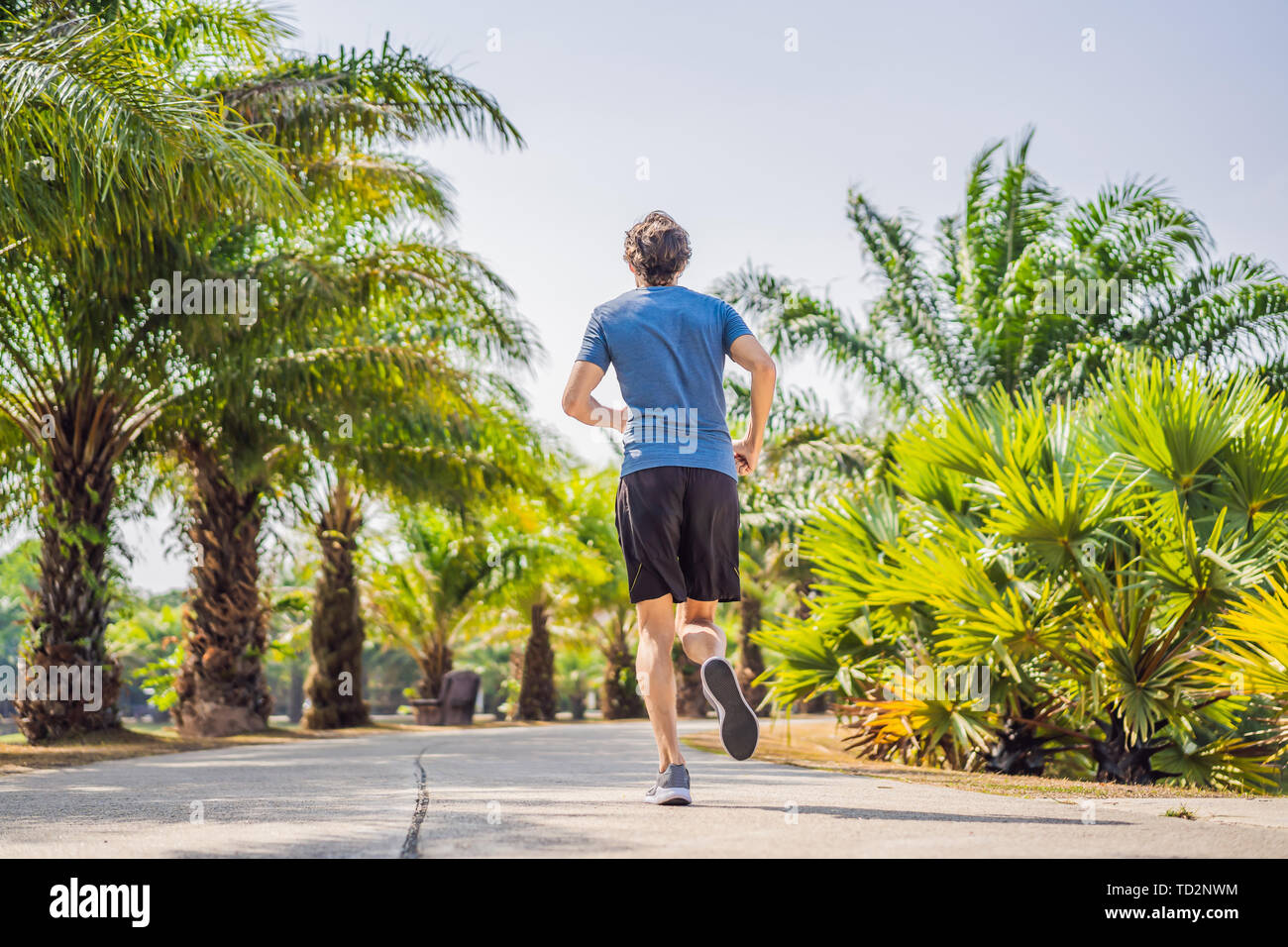 Athlète coureur tournant au Tropical Park. homme de bien-être remise en forme d'entraînement jogging sunrise concept Banque D'Images