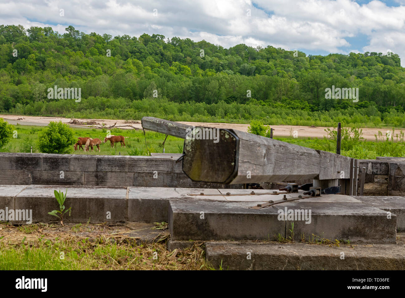 Metamora, Indiana - Chevaux près d'une écluse sur le canal d'eau vive. Le canal exploité pendant quelques années dans le milieu du 18e siècle dans le sud-est de l'Inde Banque D'Images