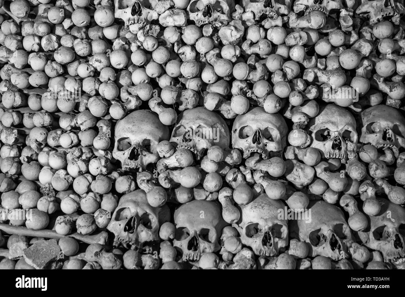 Des crânes humains et des os. Voûte gothique. charnier. La texture Photo  Stock - Alamy