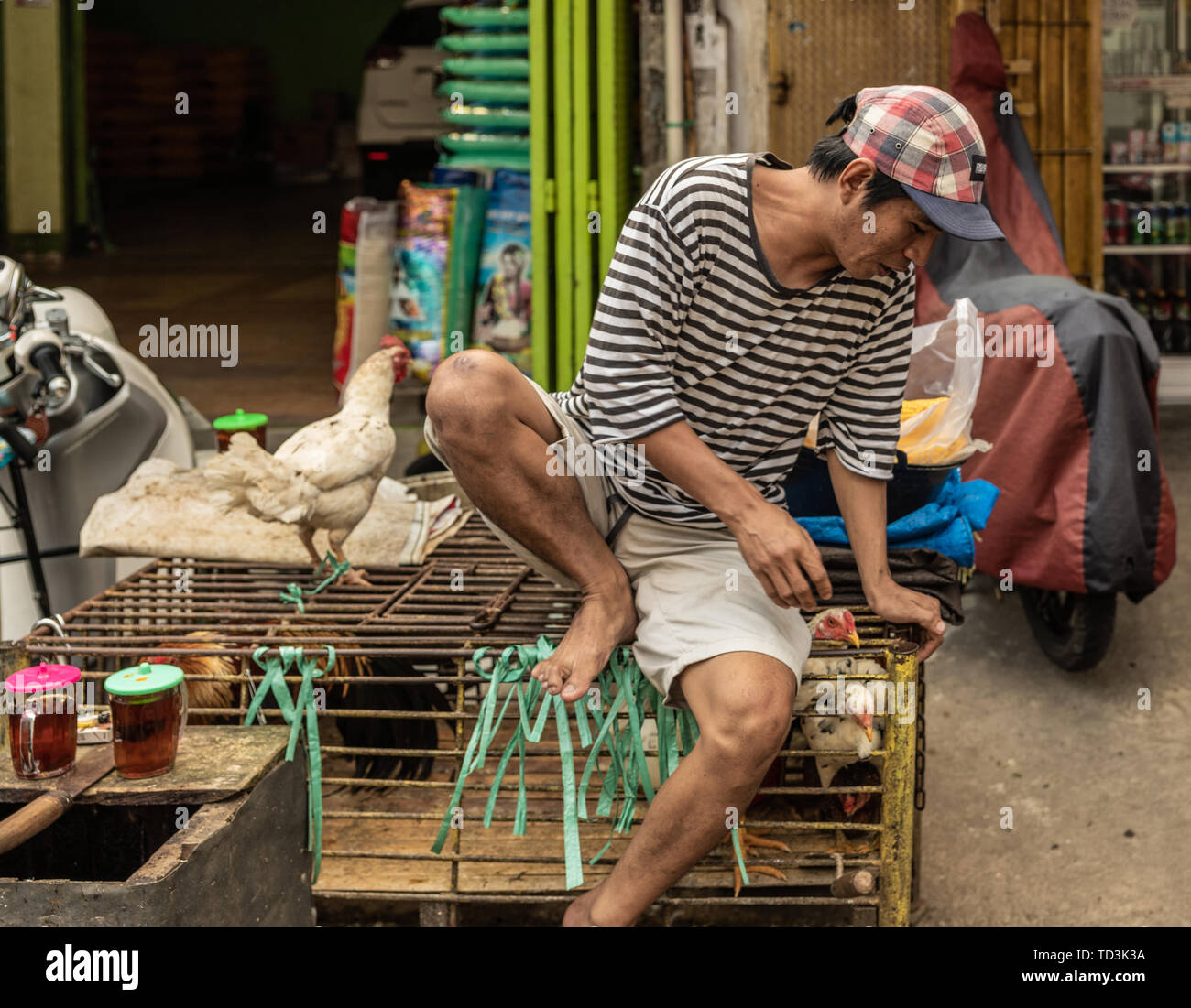 Makassar, Sulawesi, Indonésie - 28 Février 2019 : Terong Street Market. Homme seul vendeur de poulet vivant siège au coop avec un peu d'oiseaux à gauche. Un stand Banque D'Images