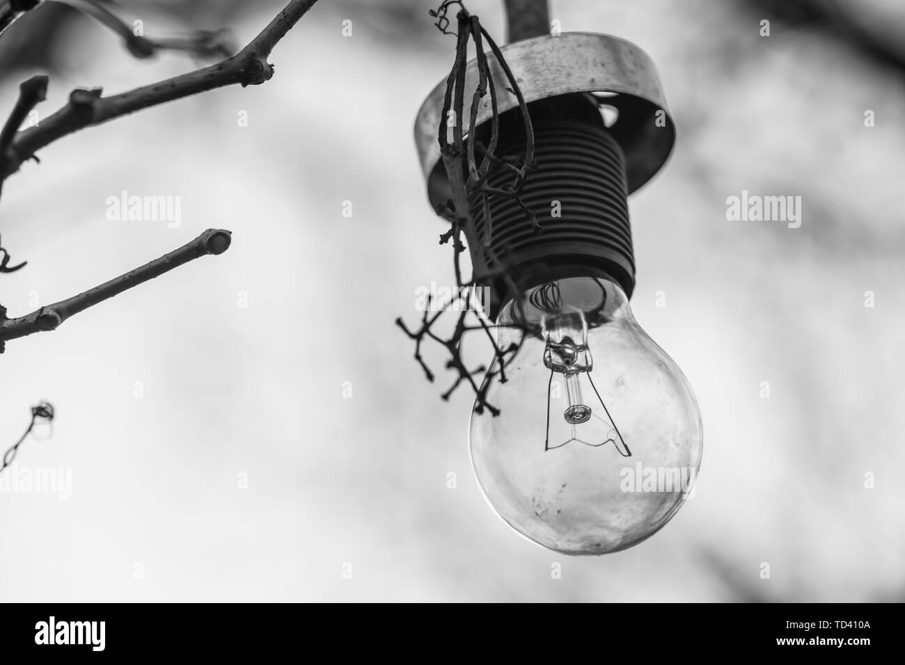 Vieille lampe sans abat-jour suspendu dans le jardin. Beau bokeh. Photo en noir et blanc Banque D'Images