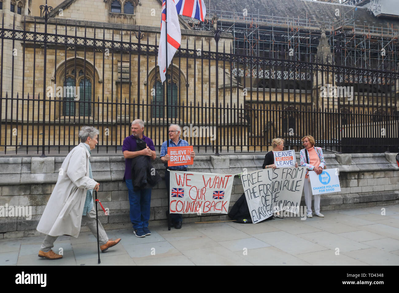 Les manifestants tiennent des banderoles et des pancartes lors de la manifestation. Brexit Manifestation devant les Chambres du Parlement, comme le parti conservateur fait l'objet d'une course à la direction de déicide pour un nouveau chef et premier ministre avec de fortes probabilités sur Pro Brexit Boris Johnson favori pour succéder à Theresa May. Banque D'Images