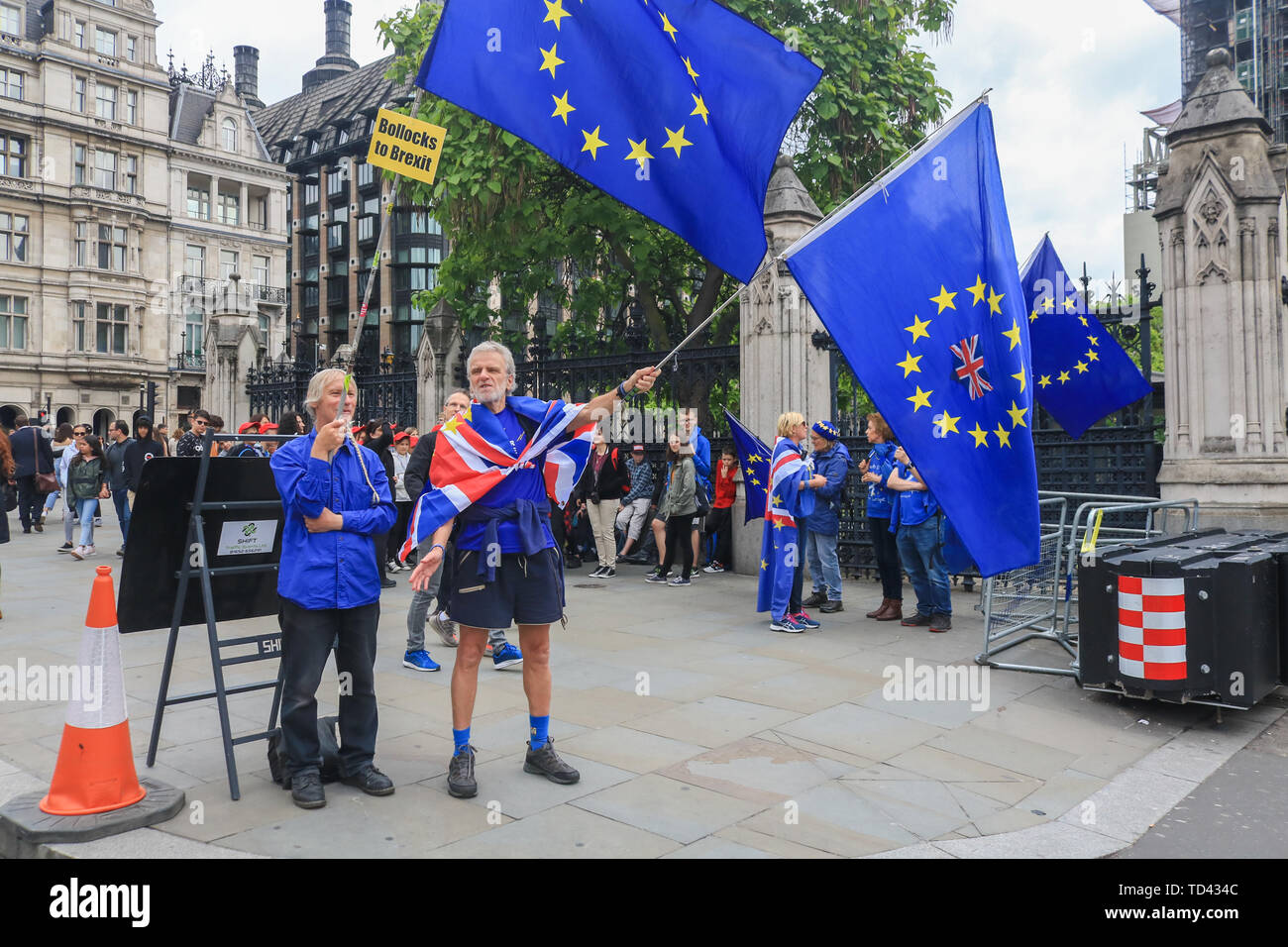 Les manifestants en faveur de rester dans l'Union européenne agitent des drapeaux lors de la manifestation. Brexit Manifestation devant les Chambres du Parlement, comme le parti conservateur fait l'objet d'une course à la direction de déicide pour un nouveau chef et premier ministre avec de fortes probabilités sur Pro Brexit Boris Johnson favori pour succéder à Theresa May. Banque D'Images
