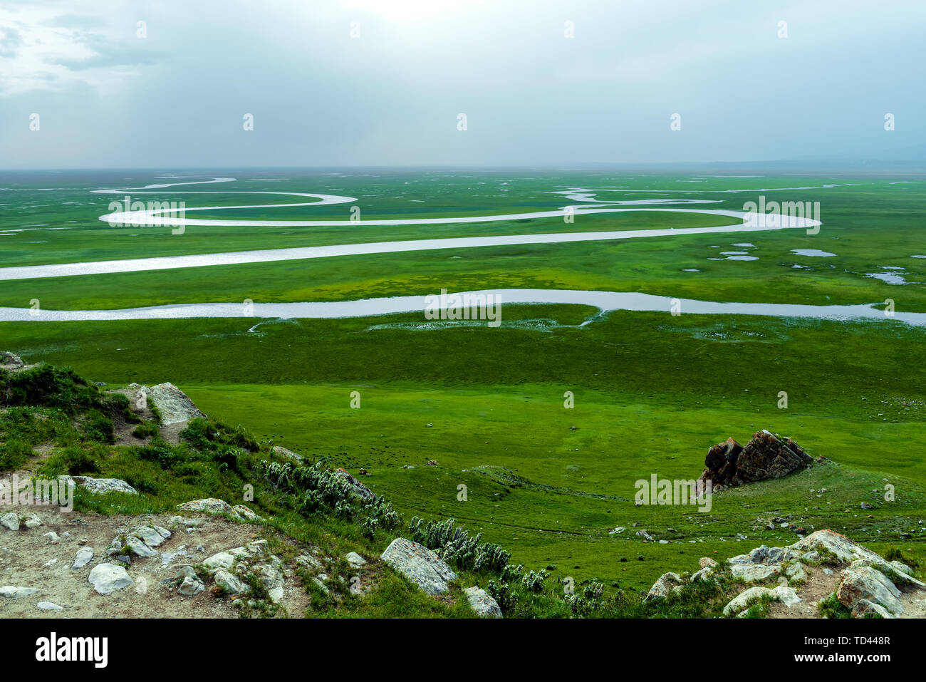 Bayinbrook Prairie, Yili, Xinjiang Banque D'Images