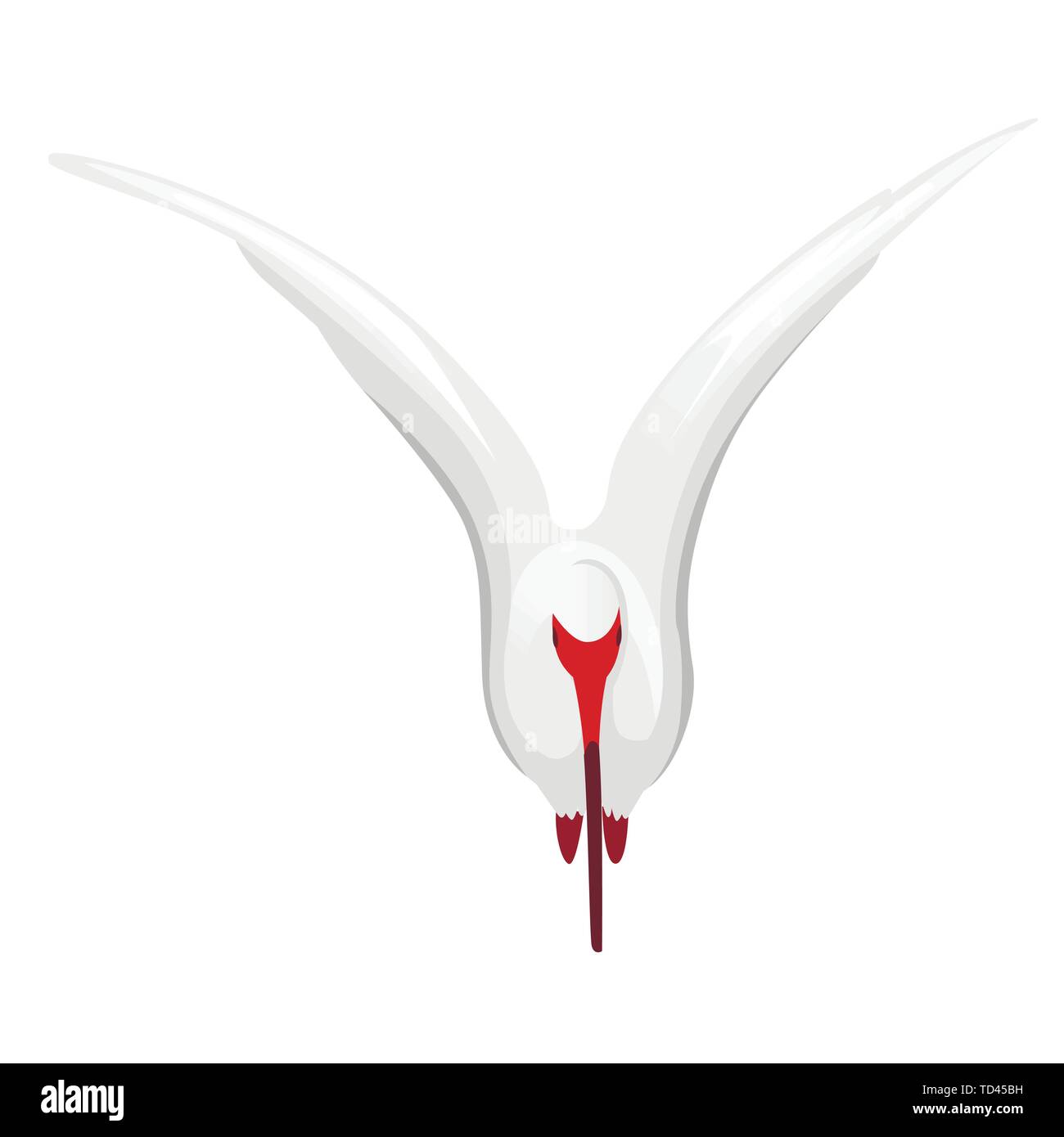 Ibis blanc américain battant ses ailes battantes télévision vector illustration cartoon animal oiseau blanc design avec bec rouge sur fond blanc Vue de face. Illustration de Vecteur