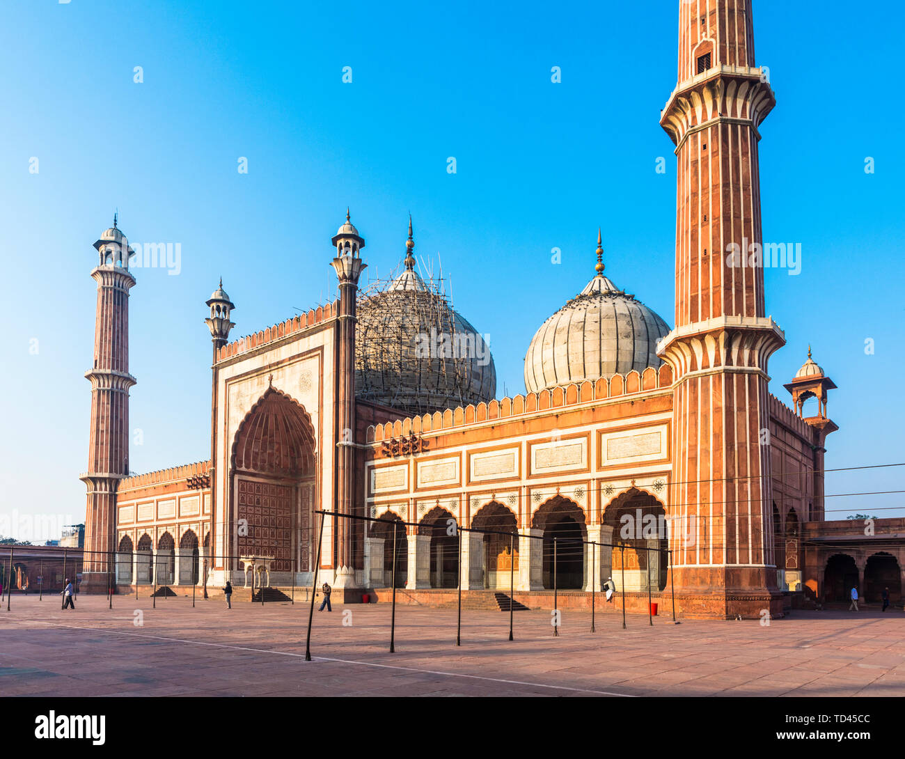 Tôt le matin dans la région de Jama Masjid, Old Delhi, Inde, Asie Banque D'Images