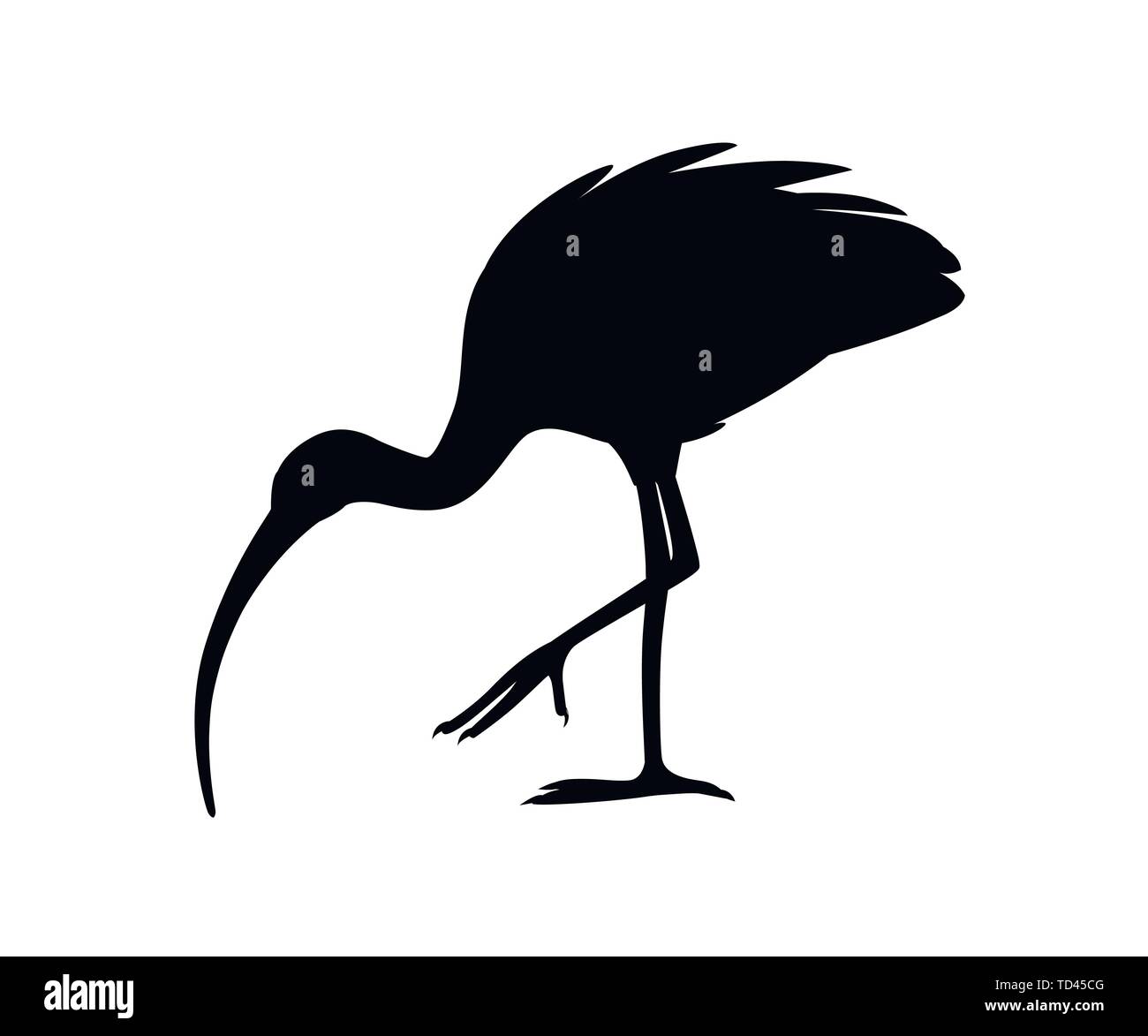 Silhouette noire-américaine ibis blanc télévision vector illustration cartoon animal oiseau blanc design avec bec rouge sur fond blanc Vue de côté. Illustration de Vecteur