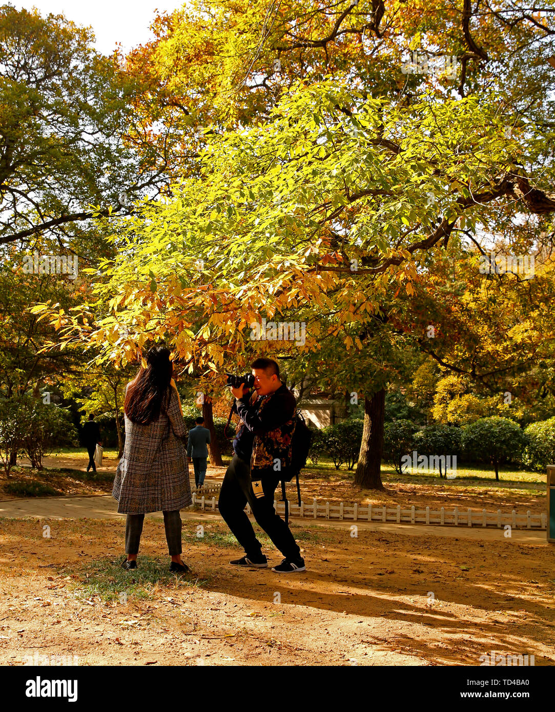 Un lot de photos couleur d'automne Banque D'Images