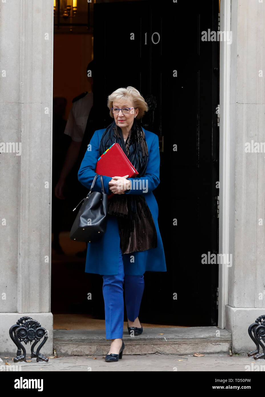 Londres, Royaume-Uni. 10 Juin, 2019. Photo prise le 26 novembre 2018 montre l'ancien chef de l'communes Andrea Leadsom en laissant 10 Downing Street après une réunion du cabinet à Londres, Grande-Bretagne. La course pour choisir un nouveau premier ministre a officiellement démarré le 10 juin 2019 avec dix offres espoirs de gagner le plus gros travail dans la politique britannique. Credit : Han Yan/Xinhua/Alamy Live News Banque D'Images