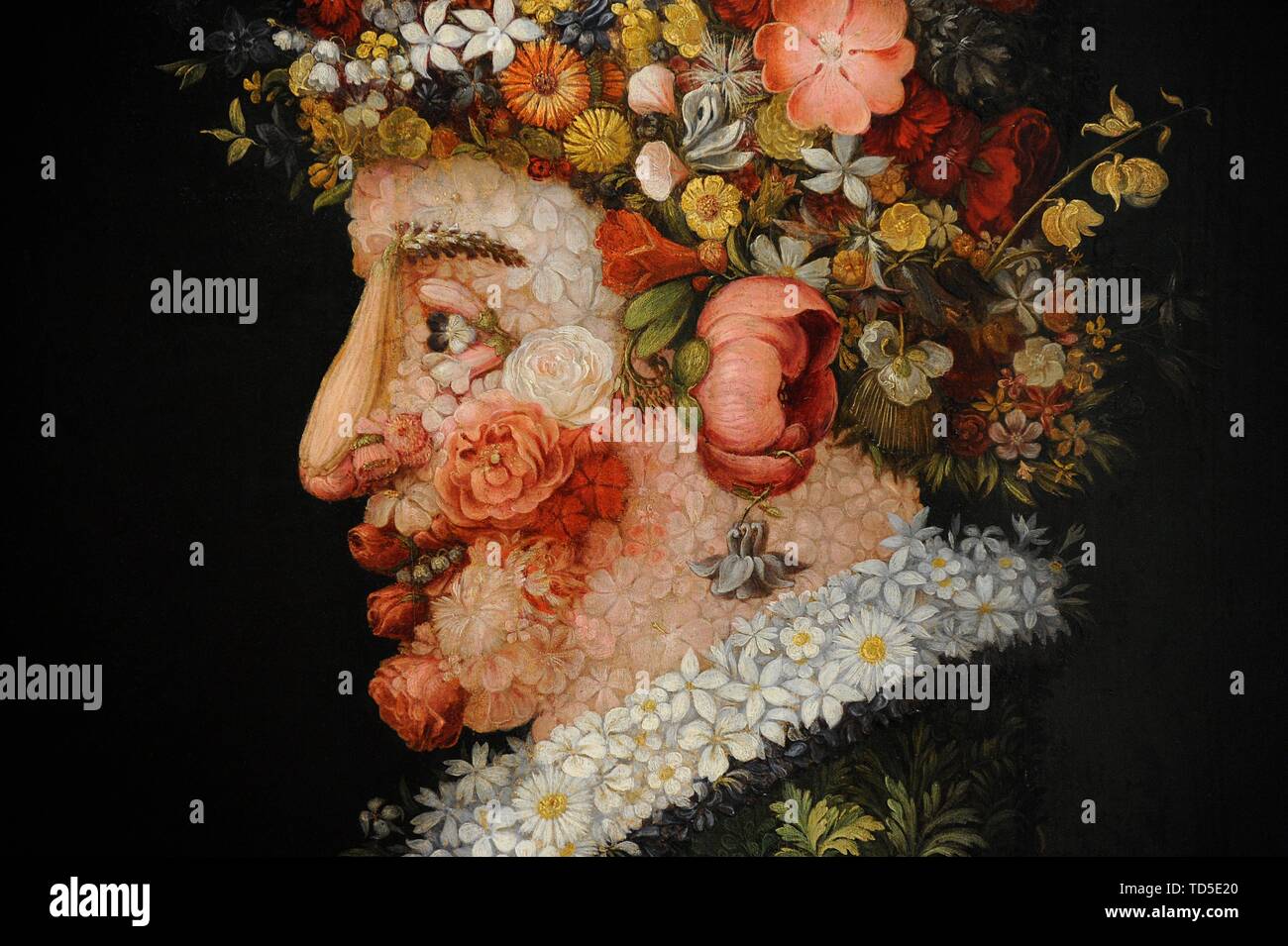 Giuseppe Arcimboldo (1527-1593). Pintor italiano. La Primavera, hacia 1563. Detalle. Óleo sobre tabla. 0,66 x 0,50 m. Real Academia de Bellas Artes de San Fernando. Madrid. España. Banque D'Images
