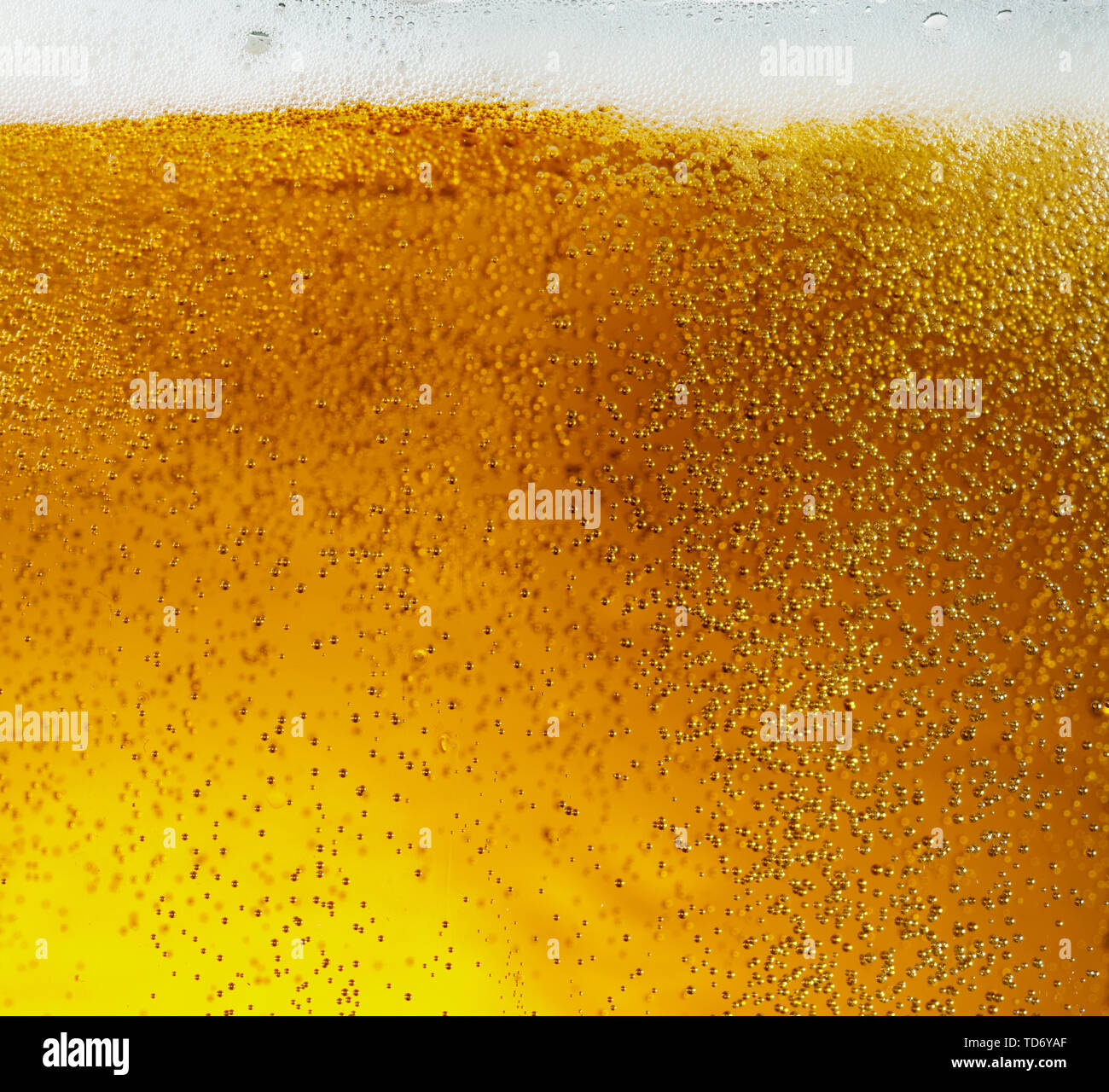 Vue rapprochée de bulles flottantes en bière de couleur d'or léger arrière-plan. La texture de l'été de refroidissement verre filtré avec mousse et macro fizz sur le mur de verre. L'effervescence ou flottant jusqu'au-dessus de la surface. Banque D'Images