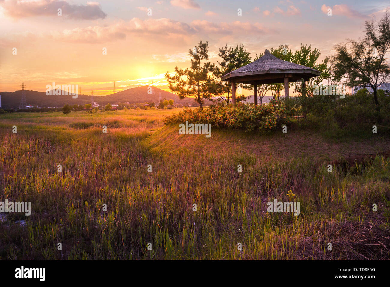 Écologie Sorae wetland park, magnifique coucher de soleil et de moulins à vent traditionnels, incheon Corée du Sud Banque D'Images
