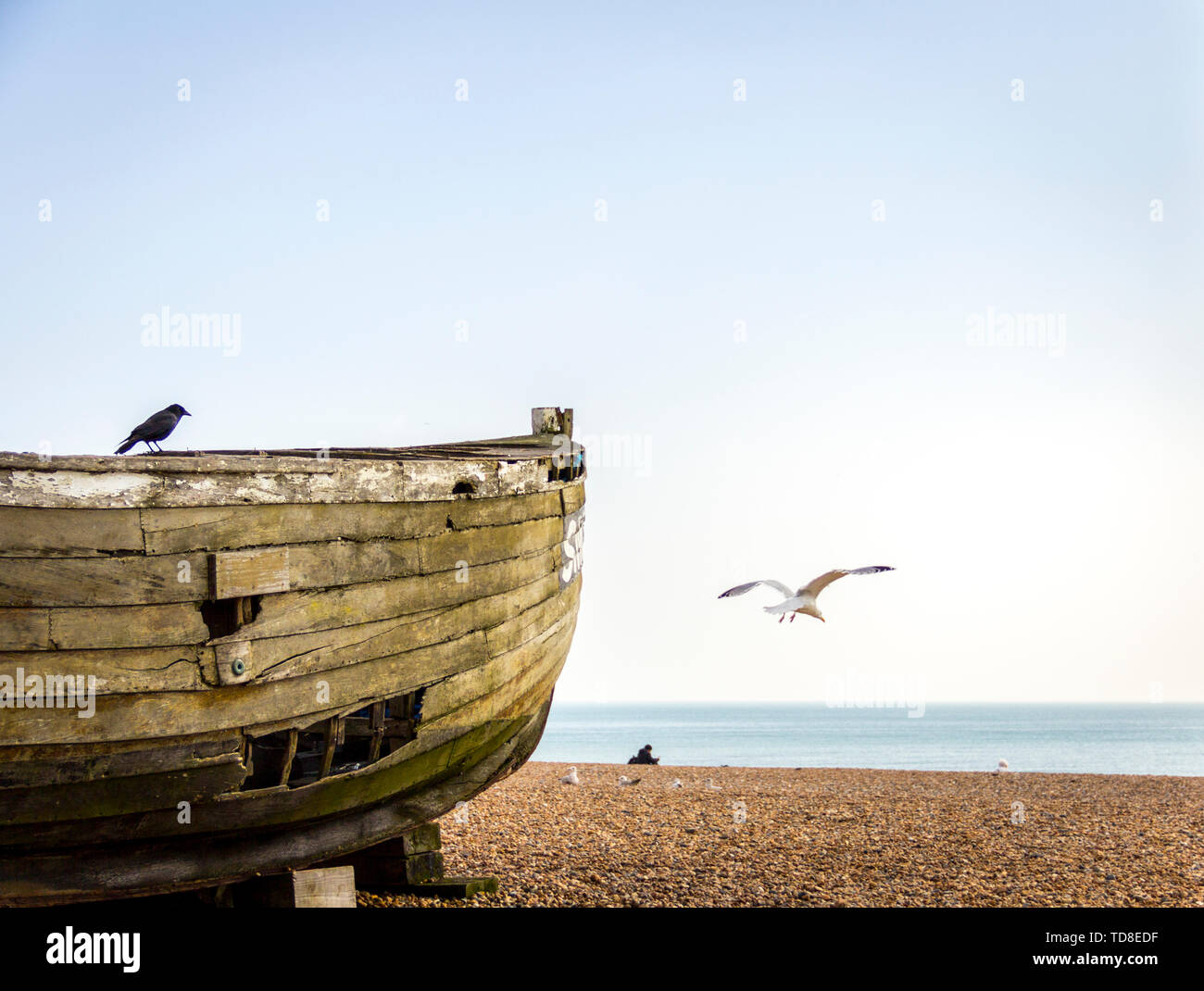 Les oiseaux sur l'ancien bateau en bois sur la plage. Front de mer de Brighton, East Sussex, Angleterre Banque D'Images