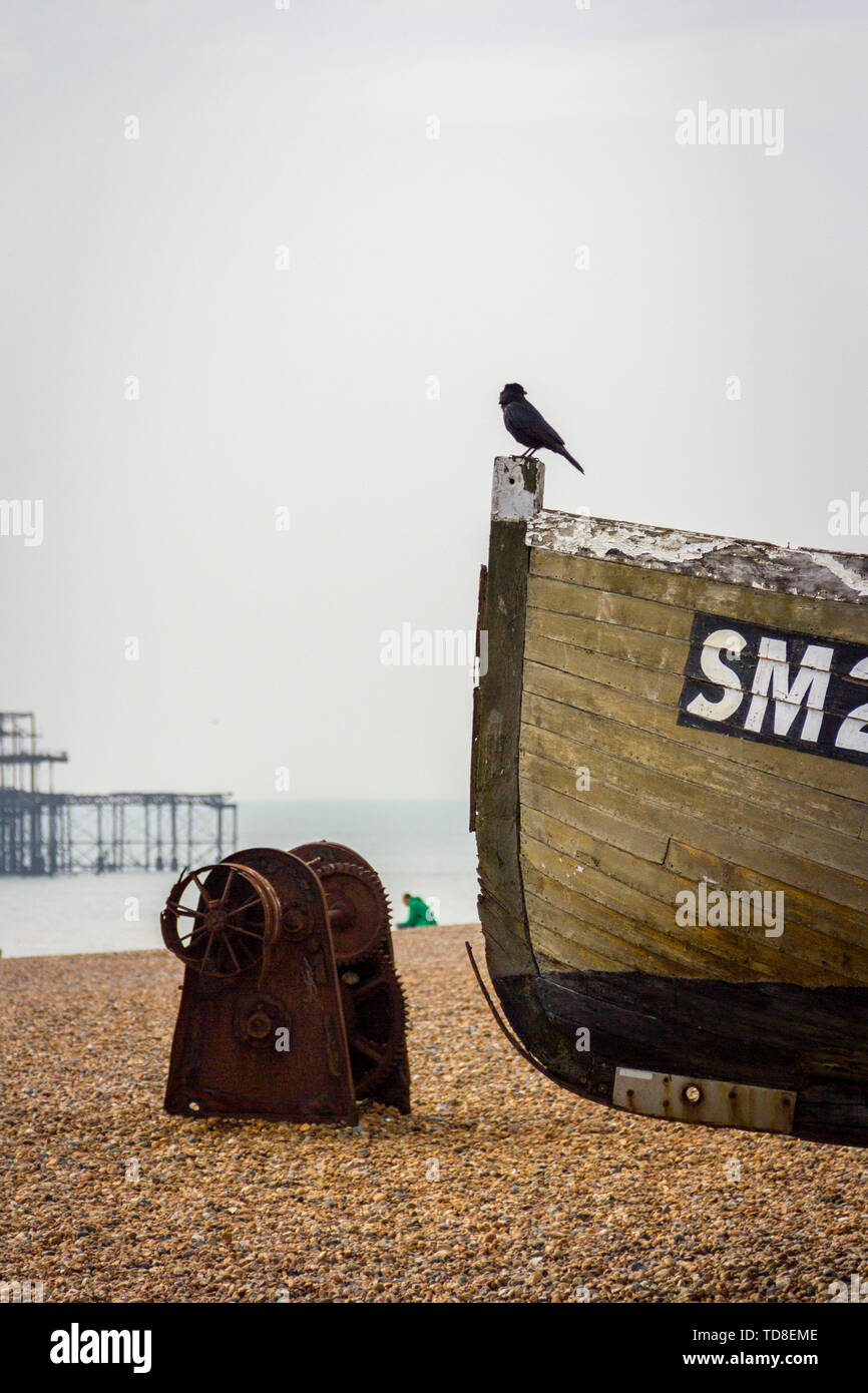 Les oiseaux sur l'ancien bateau en bois sur la plage. Front de mer de Brighton, East Sussex, Angleterre Banque D'Images