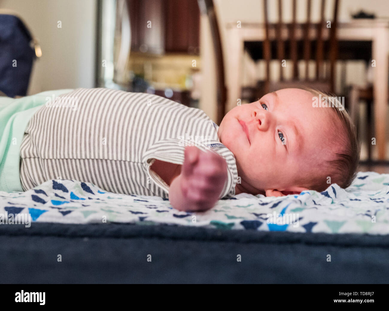 Cinq semaines de New Born Baby Boy Banque D'Images