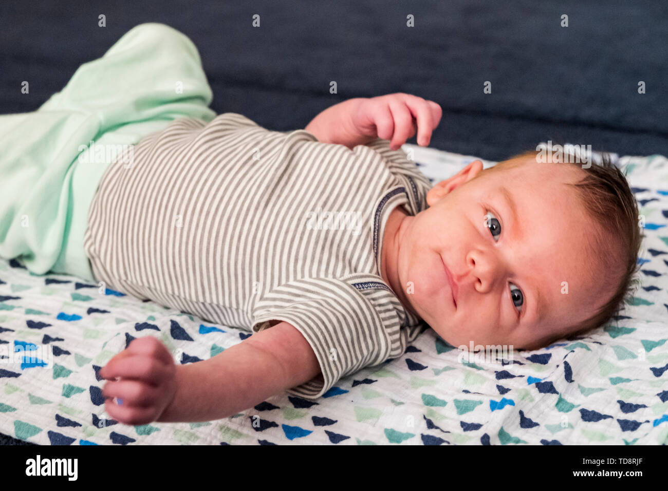Cinq semaines de New Born Baby Boy Banque D'Images