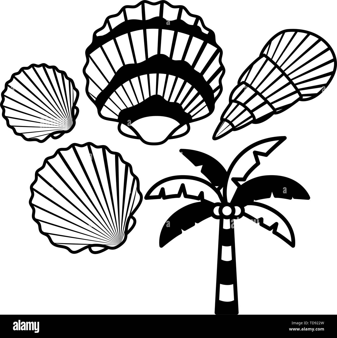 Palm Tree with coconut en fond blanc Illustration de Vecteur