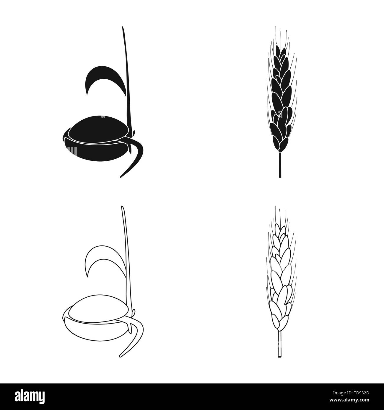 Printemps,graines,grandir,spike,root,farine,dur,son,germination la germination des céréales,,processus,alimentaire,de,plantation,or,agriculture,vert,l'évolution de l'agriculture,seigle,plantes,blé,maïs,grain,récolte,ferme,,champ,set,icône,,illustration,collection,isolé,design,graphisme,élément,signe, vecteurs vecteur , Illustration de Vecteur