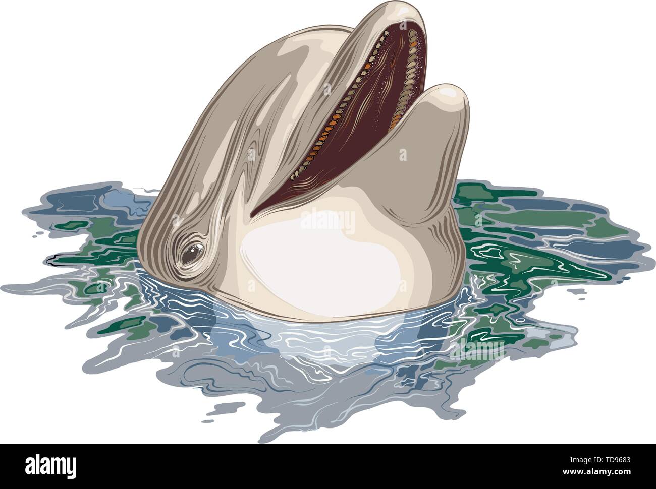 Dessin vectoriel de dolphin en couleur, isolé sur fond blanc. Illustration graphique, dessin à la main. Dimensions des affiches, décoration et d'impression Illustration de Vecteur