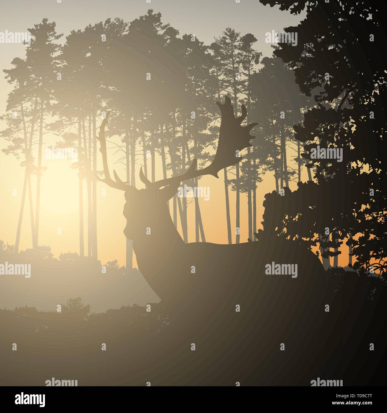 Illustration réaliste du paysage avec la forêt de conifères et de ciel du matin avec la lumière du soleil. Avec bois de cerf et permanent à la recherche au lever ou au coucher du soleil. Illustration de Vecteur