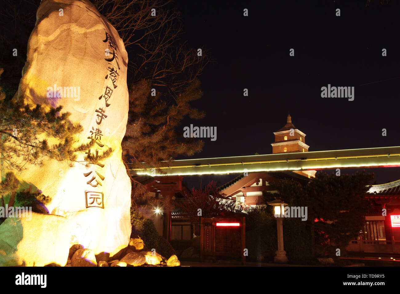 Vue de la nuit de la Grande Pagode de l'Oie Sauvage à Xi'an, province du Shaanxi Banque D'Images