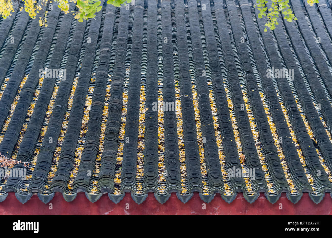 Les avant-toits et toits de Sea Breeze Spa Resort Hotel Temple Building à Suzhou Banque D'Images