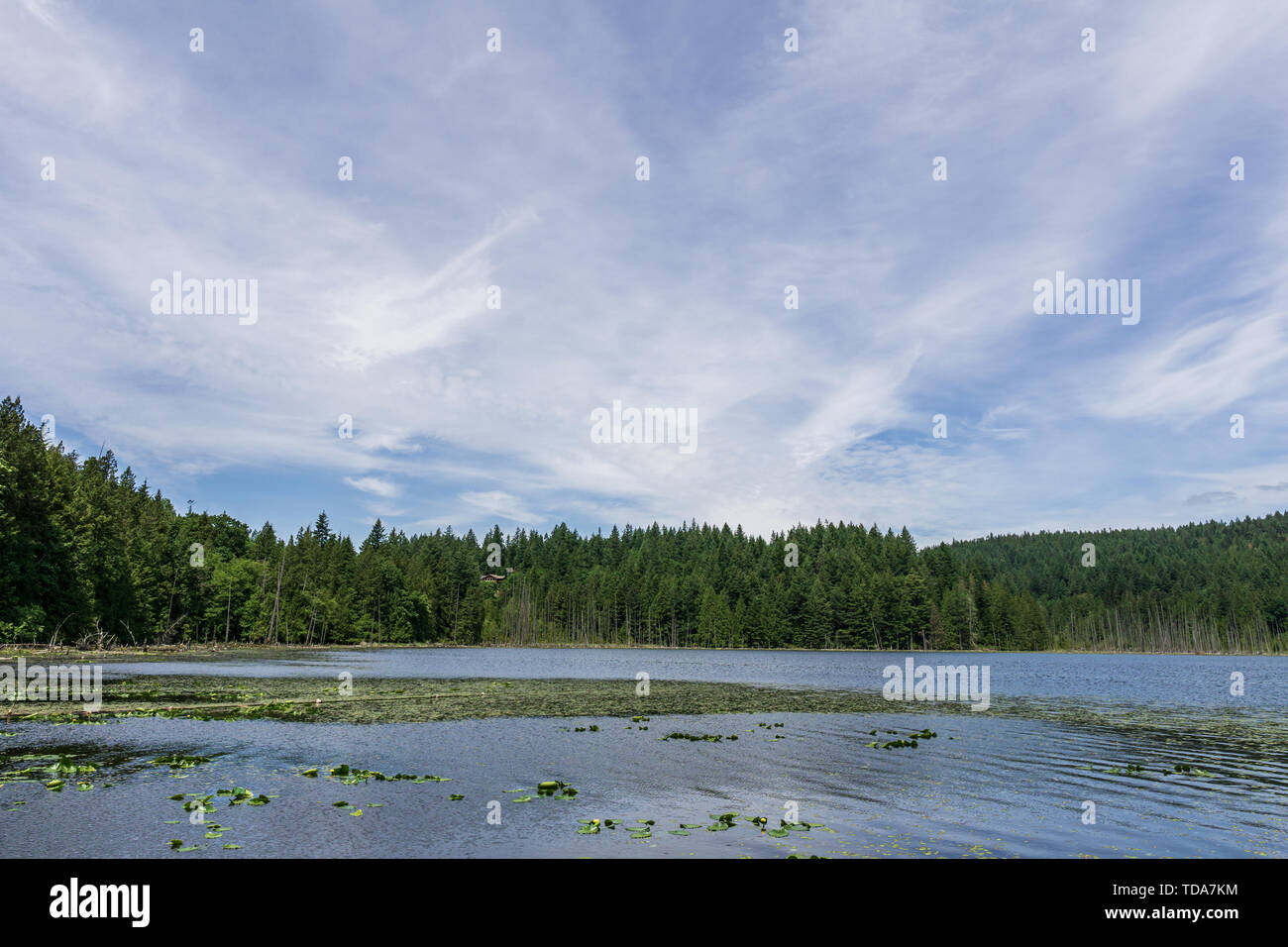 Vue paysage Killarney Lake Bowen Island canada et ciel bleu. Banque D'Images