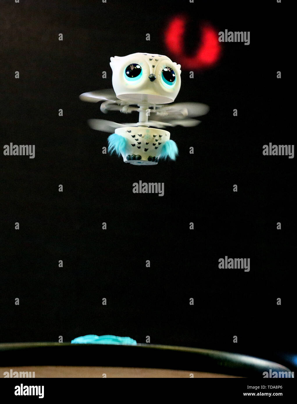 Tokyo, Japon. 13 Juin, 2019. Le Japon's toy maker Tomy affiche une Owlees  jouet hélicoptère, un hibou animal en forme de robot et qui vole lorsque  l'utilisateur prend soin de lui à