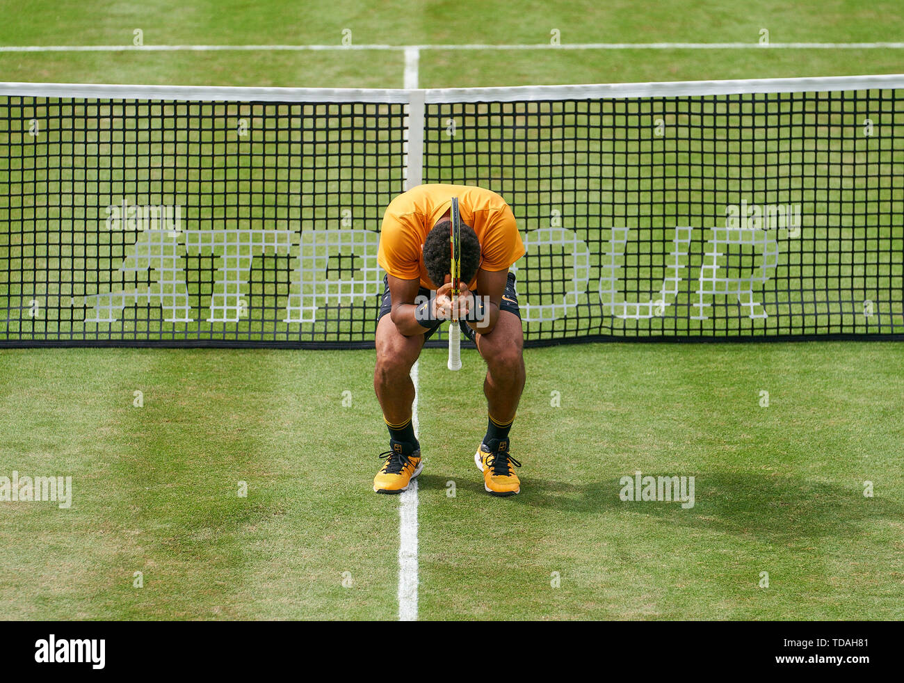 Stuttgart, Allemagne. 14 Juin, 2019. Felix AUGER-ALIASSIME (FRA) montre des émotions dans son match contre Dustin BROWN (GER) à l'ATP Tennis Mercedes Cup sur l'herbe à Stuttgart, le 14 juin 2019. Felix AUGER-ALIASSIME (FRA) a gagné 7-6, 6-7, 7-6 Crédit : Peter Schatz/Alamy Live News Banque D'Images