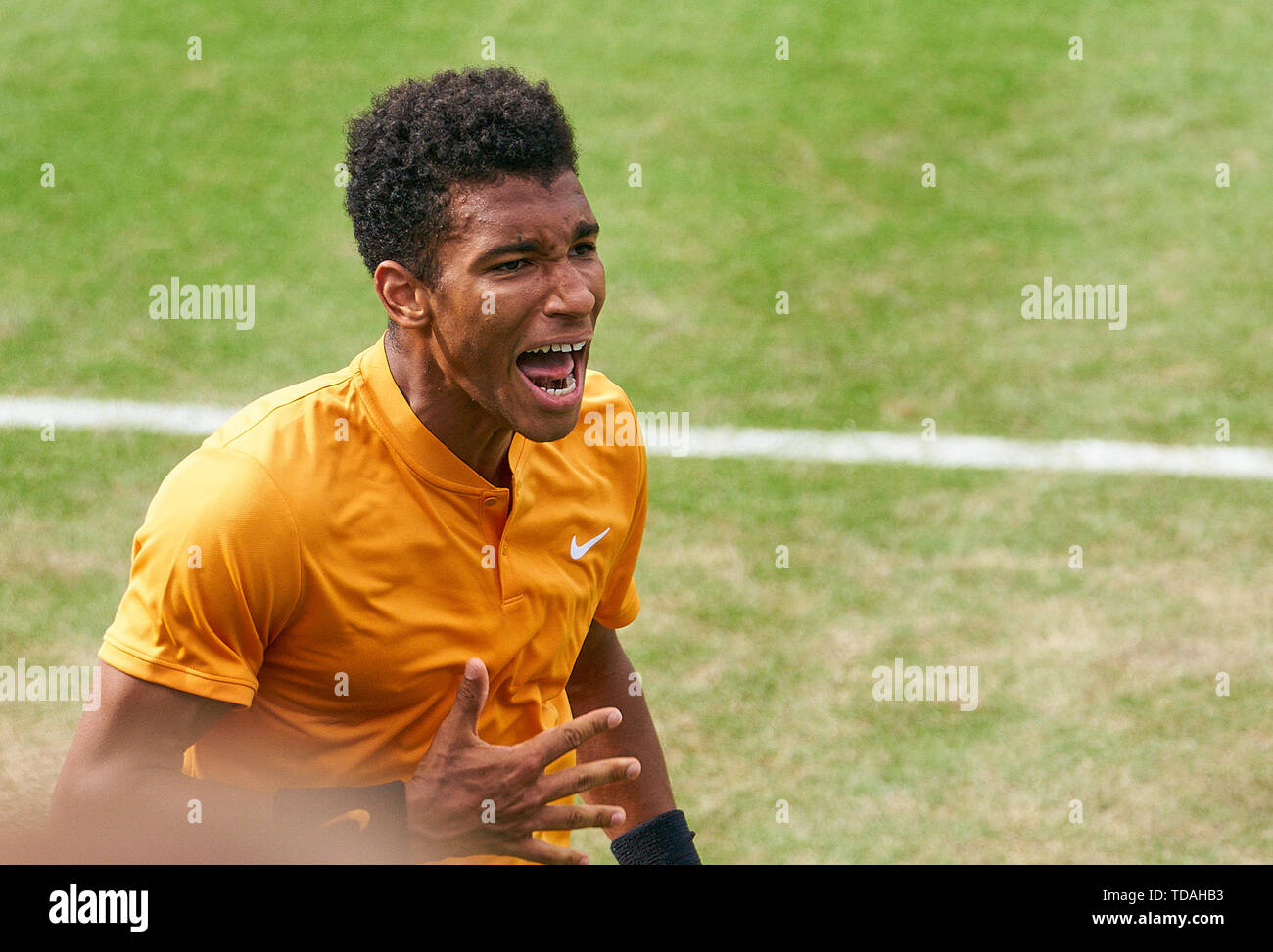 Stuttgart, Allemagne. 14 Juin, 2019. Felix AUGER-ALIASSIME (FRA) célébrer dans son match contre Dustin BROWN (GER) à l'ATP Tennis Mercedes Cup sur l'herbe à Stuttgart, le 14 juin 2019. Felix AUGER-ALIASSIME (FRA) a gagné 7-6, 6-7, 7-6 Crédit : Peter Schatz/Alamy Live News Banque D'Images