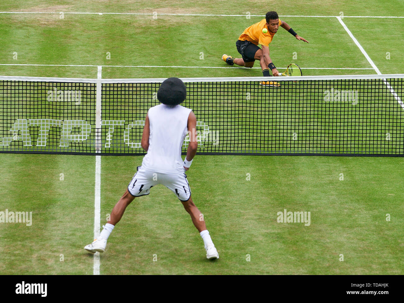 Stuttgart, Allemagne. 14 Juin, 2019. Dustin BROWN (GER) en action dans son match contre Felix AUGER-ALIASSIME (FRA) à l'ATP Tennis Mercedes Cup sur l'herbe à Stuttgart, le 14 juin 2019. Felix AUGER-ALIASSIME (FRA) a gagné 7-6, 6-7, 7-6 Crédit : Peter Schatz/Alamy Live News Banque D'Images