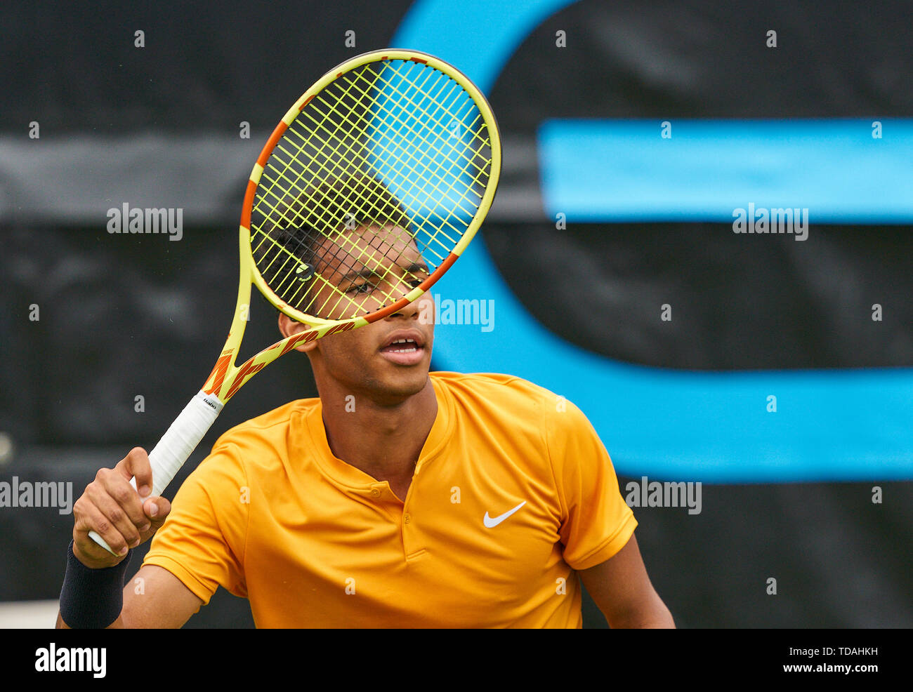 Stuttgart, Allemagne. 14 Juin, 2019. Felix AUGER-ALIASSIME (FRA) en action dans son match contre Dustin BROWN (GER) à l'ATP Tennis Mercedes Cup sur l'herbe à Stuttgart, le 14 juin 2019. Felix AUGER-ALIASSIME (FRA) a gagné 7-6, 6-7, 7-6 Crédit : Peter Schatz/Alamy Live News Banque D'Images