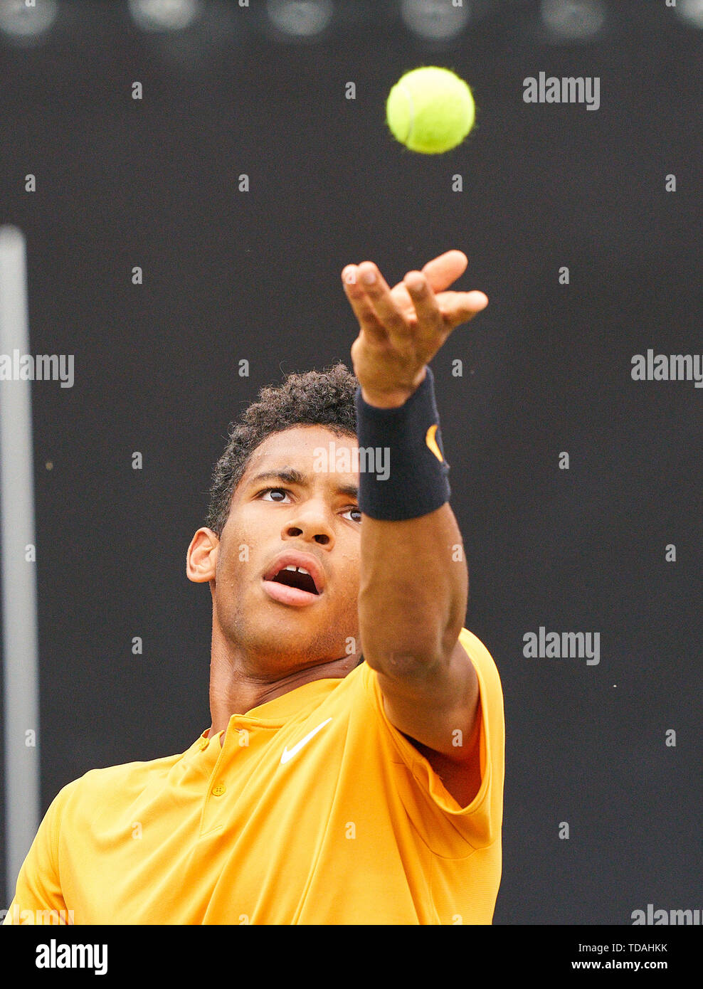 Stuttgart, Allemagne. 14 Juin, 2019. Felix AUGER-ALIASSIME (FRA) en action dans son match contre Dustin BROWN (GER) à l'ATP Tennis Mercedes Cup sur l'herbe à Stuttgart, le 14 juin 2019. Felix AUGER-ALIASSIME (FRA) a gagné 7-6, 6-7, 7-6 Crédit : Peter Schatz/Alamy Live News Banque D'Images