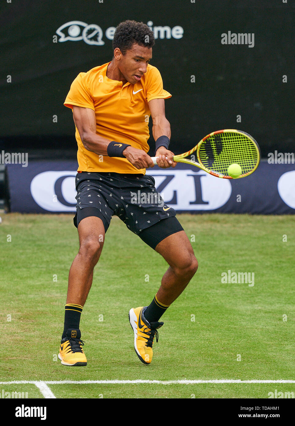 Stuttgart, Allemagne. 14 Juin, 2019. Felix AUGER-ALIASSIME (FRA) en action dans son match contre Dustin BROWN (GER) à l'ATP Tennis Mercedes Cup sur l'herbe à Stuttgart, le 14 juin 2019. Felix AUGER-ALIASSIME (FRA) a gagné 7-6, 6-7, 7-6 Crédit : Peter Schatz/Alamy Live News Banque D'Images