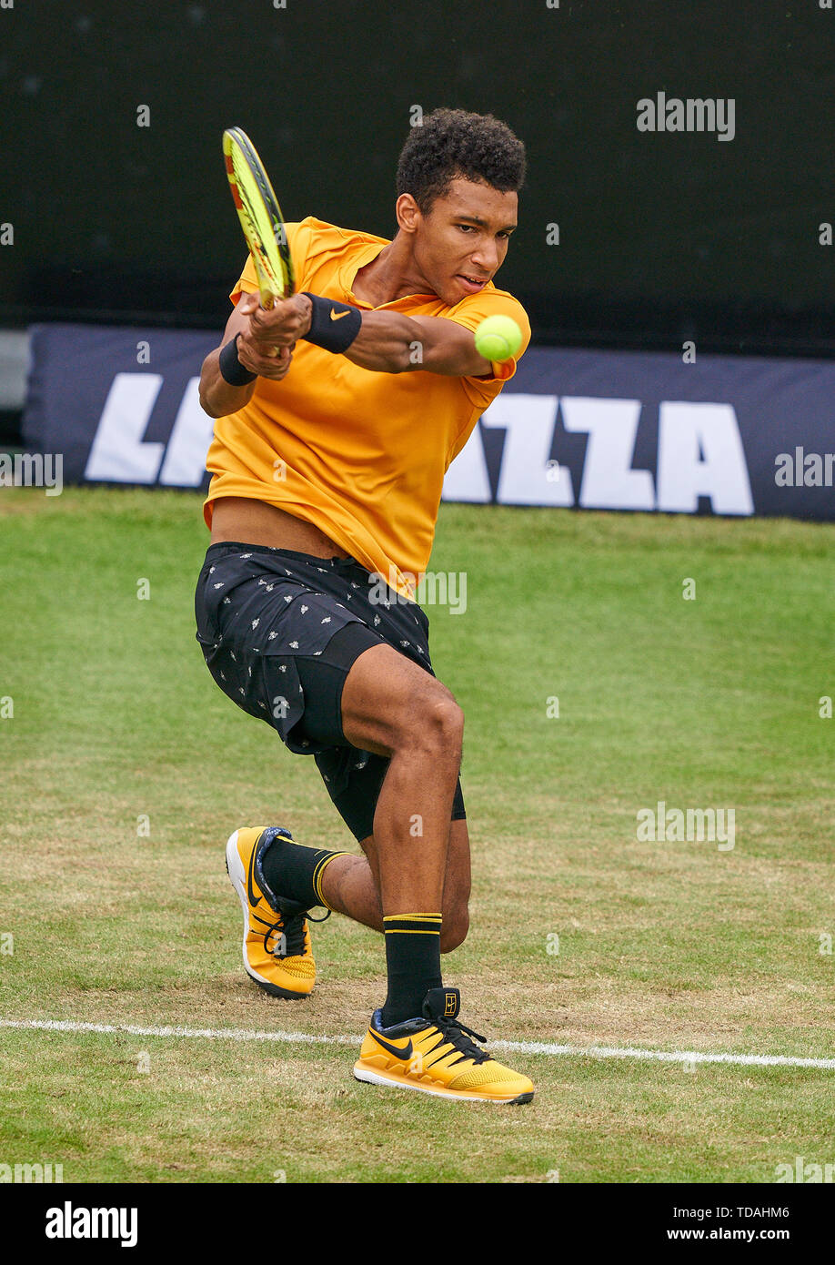 Stuttgart, Allemagne. 14 Juin, 2019. Felix AUGER-ALIASSIME (FRA) en action dans son match contre Dustin BROWN (GER) à l'ATP Tennis Mercedes Cup sur l'herbe à Stuttgart, le 14 juin 2019. Felix AUGER-ALIASSIME (FRA) a gagné 7-6, 6-7, 7-6 Crédit : Peter Schatz/Alamy Live News Banque D'Images
