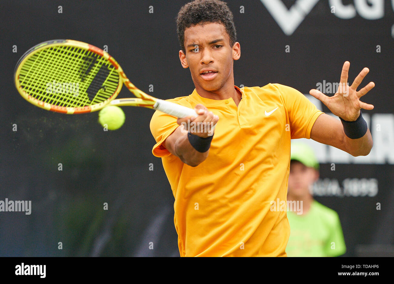 Stuttgart, Allemagne. 14 Juin, 2019. Felix AUGER-ALIASSIME (FRA) en action dans son match contre Dustin BROWN (GER) à l'ATP Tennis Mercedes Cup sur l'herbe à Stuttgart, le 14 juin 2019. Felix AUGER-ALIASSIME (FRA) a gagné 7-6, 6-7, 7-6 Crédit : Peter Schatz/Alamy Live News Banque D'Images