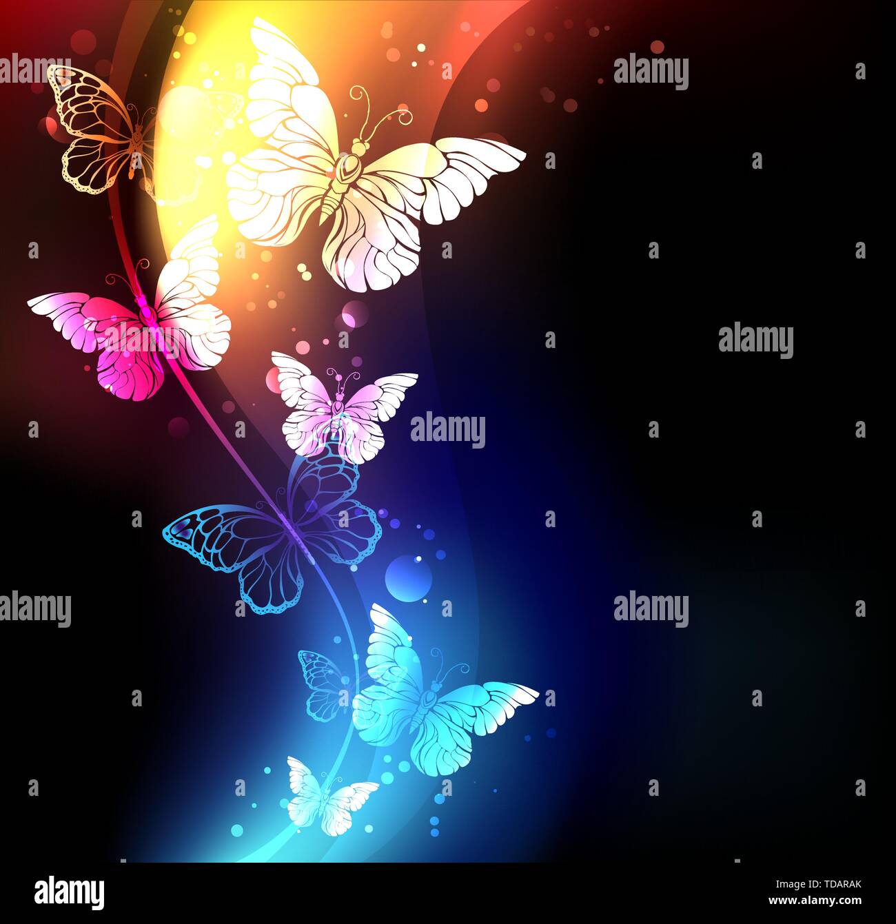 Fabuleux, éclatant, papillons de nuit bleu et orange sur fond noir. Illustration de Vecteur