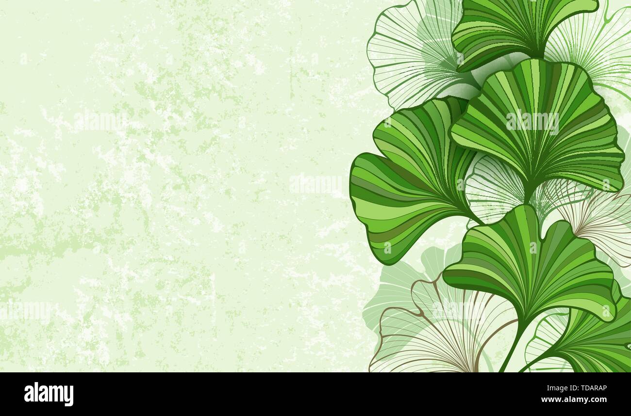 Stylisé, vert et marron, contour des feuilles de ginkgo biloba sur vert, papier texturé, arrière-plan. Le Ginkgo biloba. Illustration de Vecteur