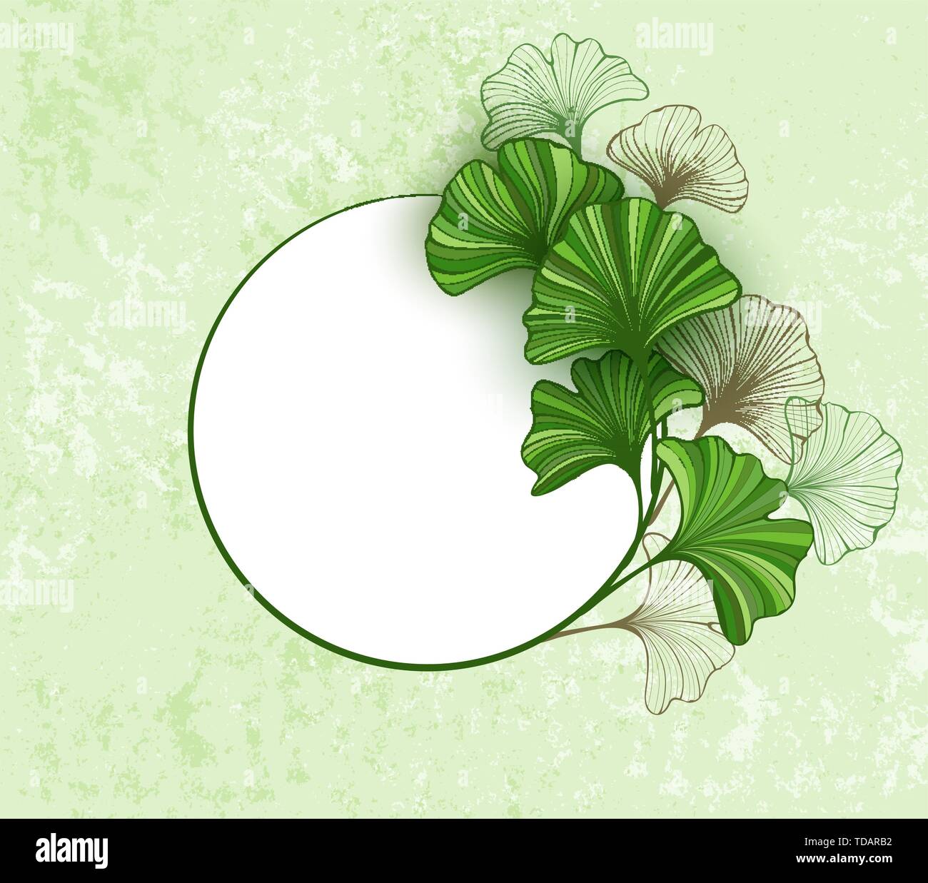 Bannière ronde avec green, stylisé et contour marron feuilles de ginkgo biloba sur papier texturé, arrière-plan. Illustration de Vecteur