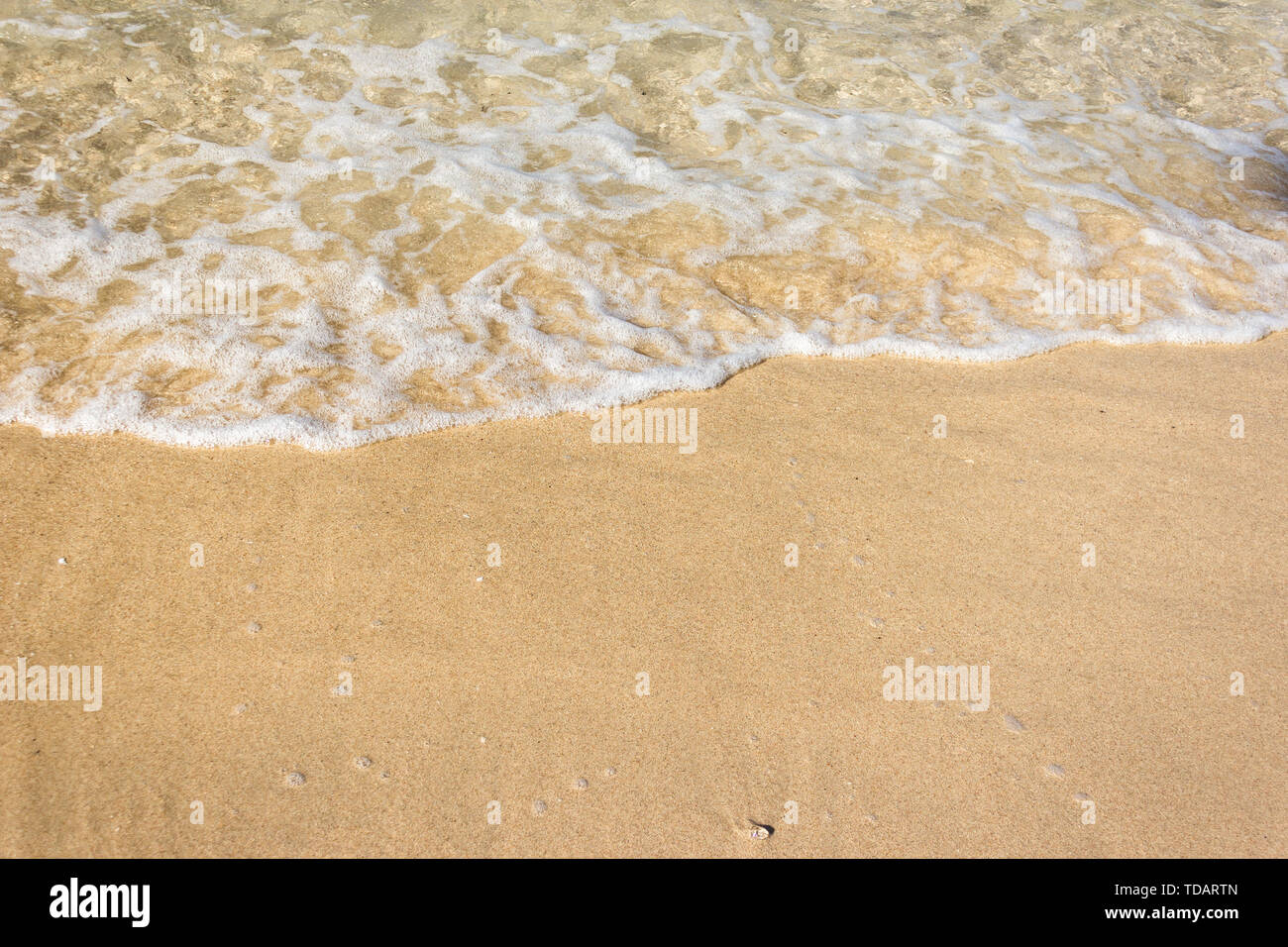 Vagues douces avec de la mousse de l'océan sur la plage de sable contexte Banque D'Images