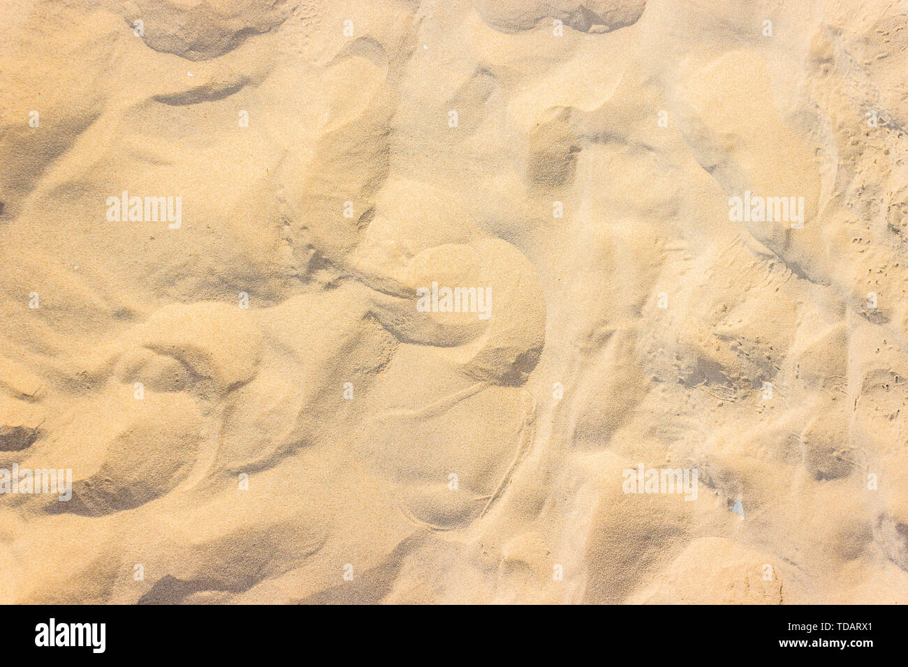 Sur la plage de sable pour la texture de fond d'été. Banque D'Images