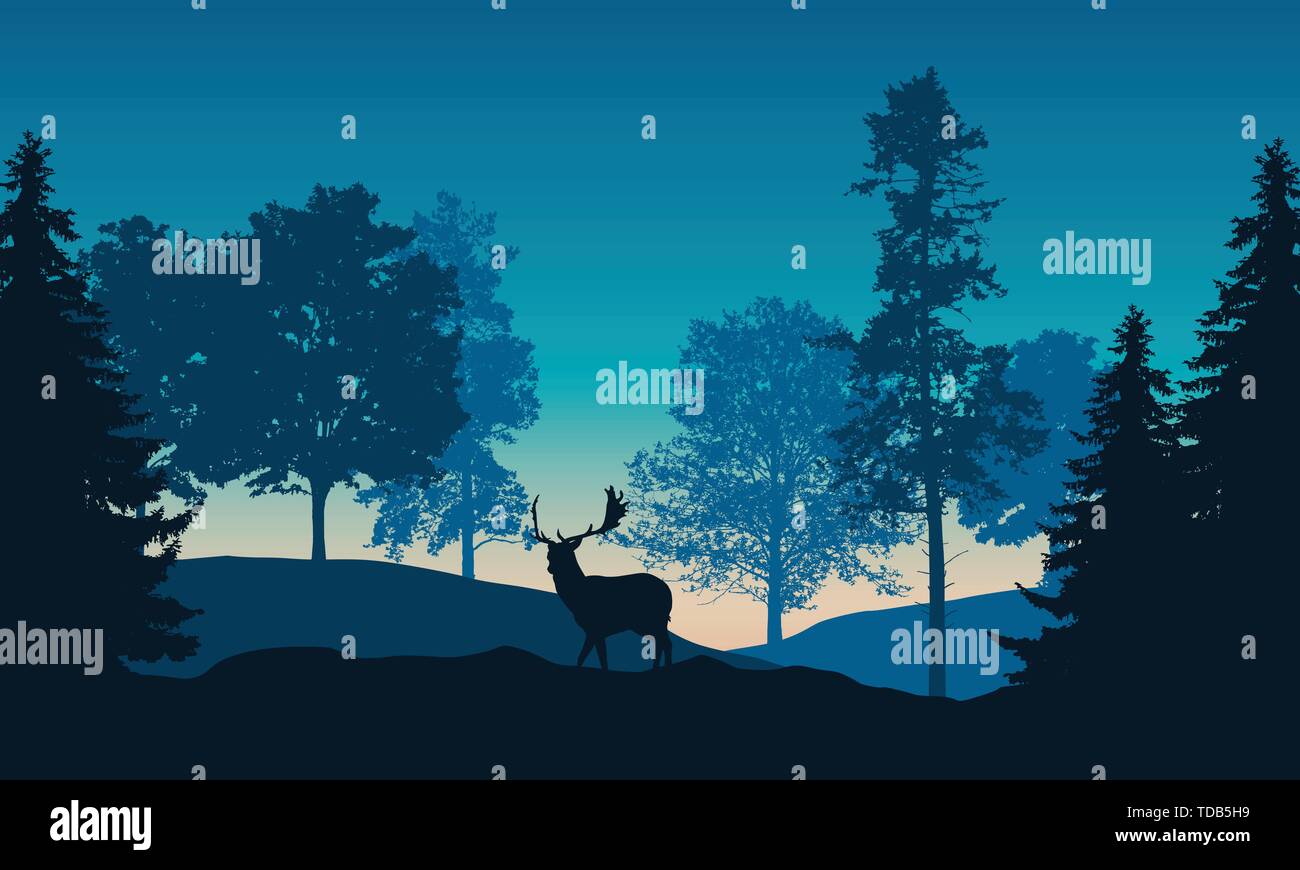 Illustration réaliste du paysage avec des forêts de conifères et de feuillus et matin ciel bleu avec soleil levant. Les cerfs avec bois debout. Approprié comme Illustration de Vecteur