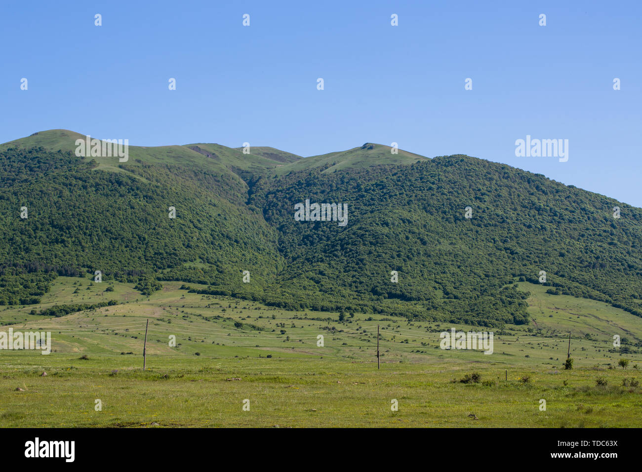 Colline verte contre le ciel bleu dans la journée Banque D'Images